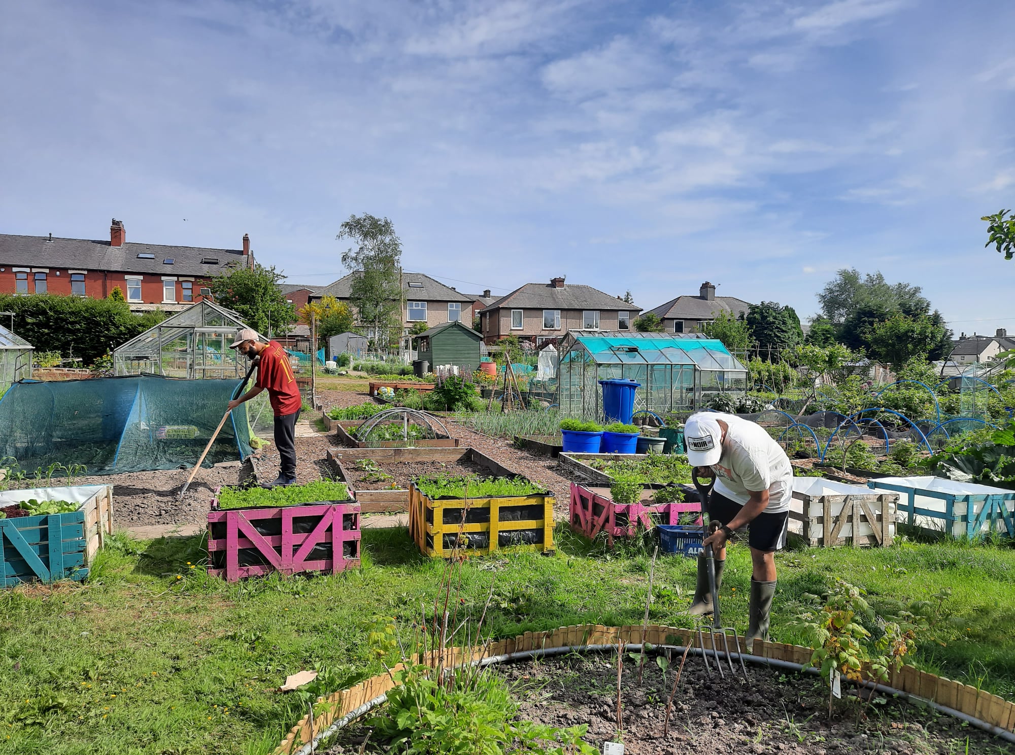 Bank Top Community Garden Open Day