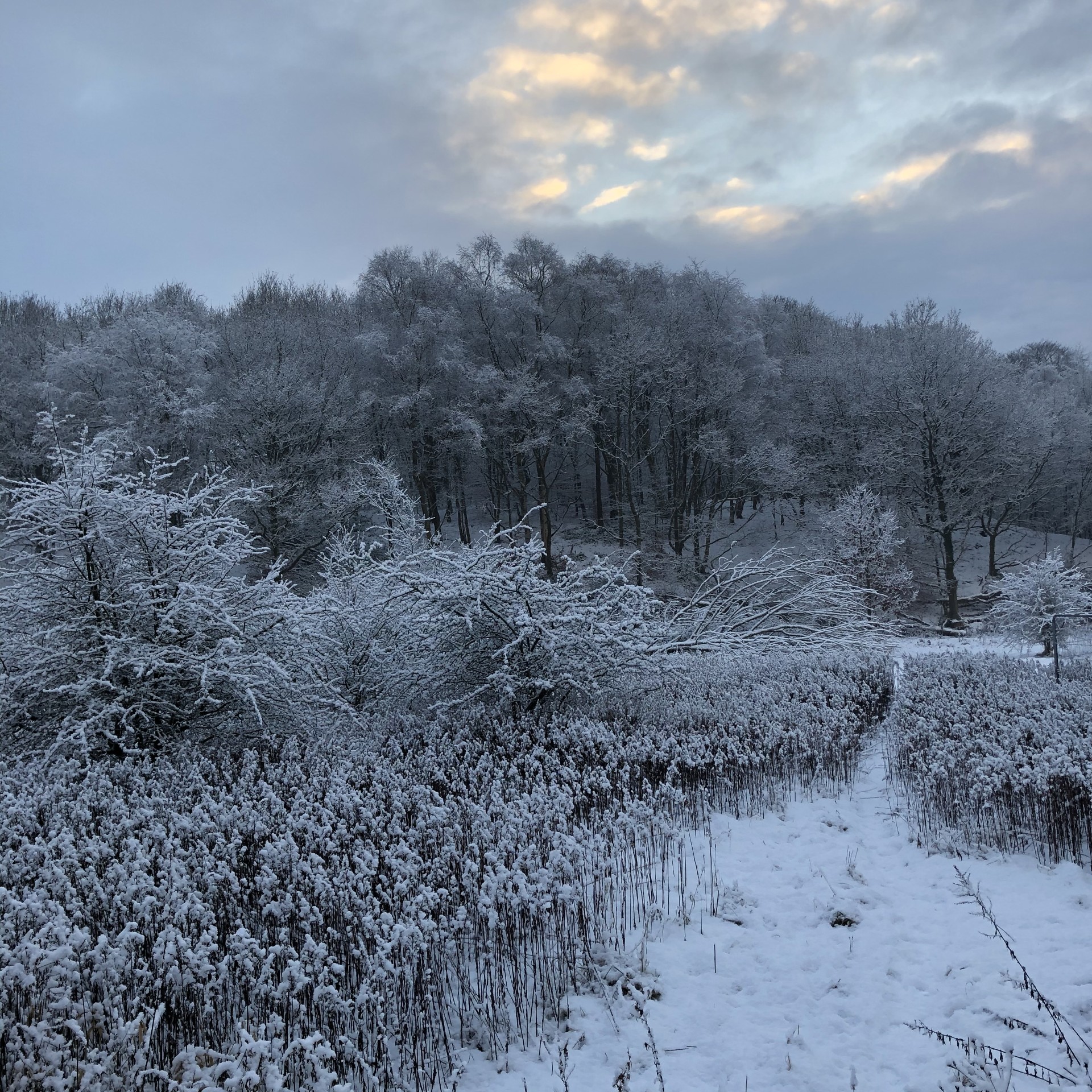 Beat the winter blues!